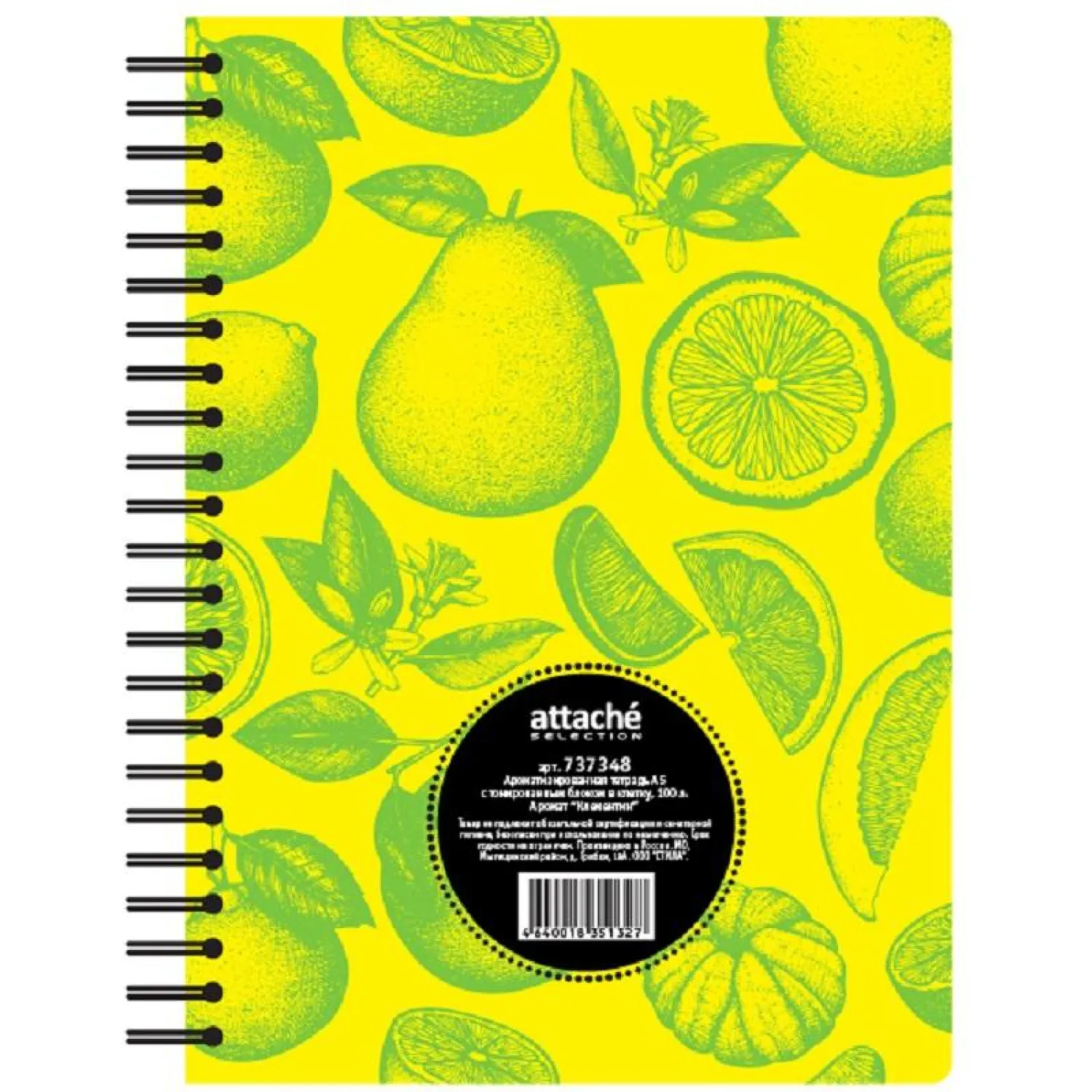 Бизнес-тетрадь  ароматизир.100л,кл,А5, КЛЕМЕНТИН,спир,тонир.блок 84906 - фото 3