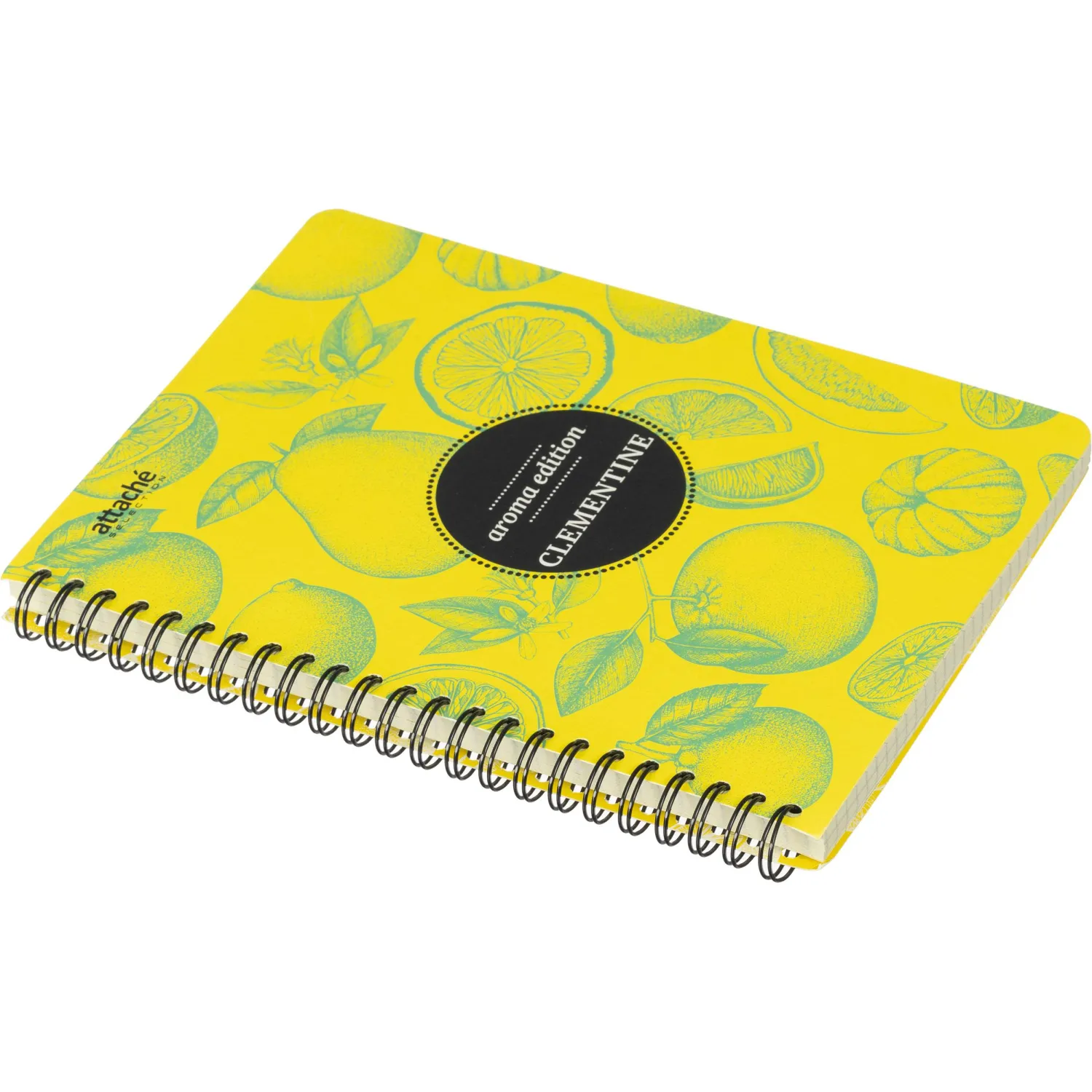 Бизнес-тетрадь  ароматизир.100л,кл,А5, КЛЕМЕНТИН,спир,тонир.блок 84906 - фото 4