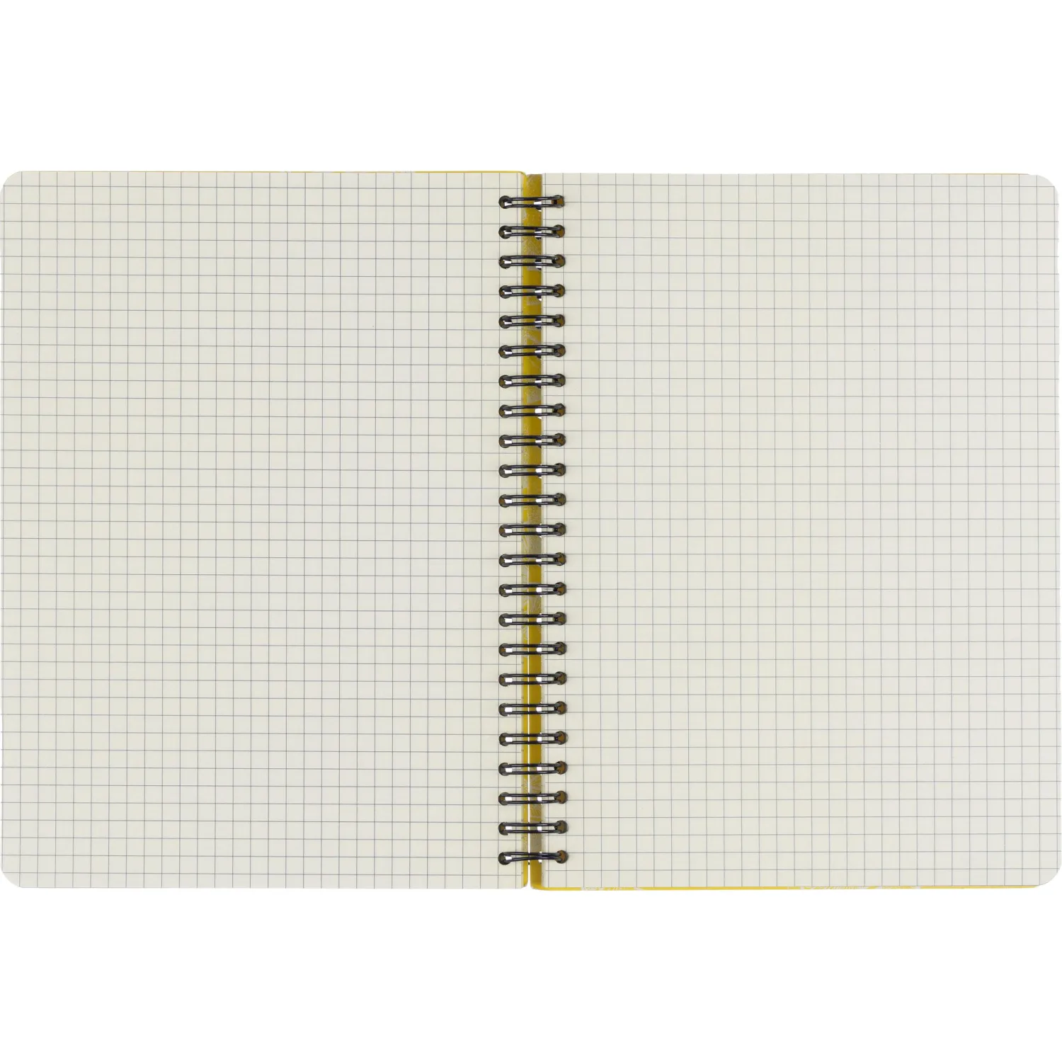 Бизнес-тетрадь  ароматизир.100л,кл,А5, КЛЕМЕНТИН,спир,тонир.блок 84906 - фото 6