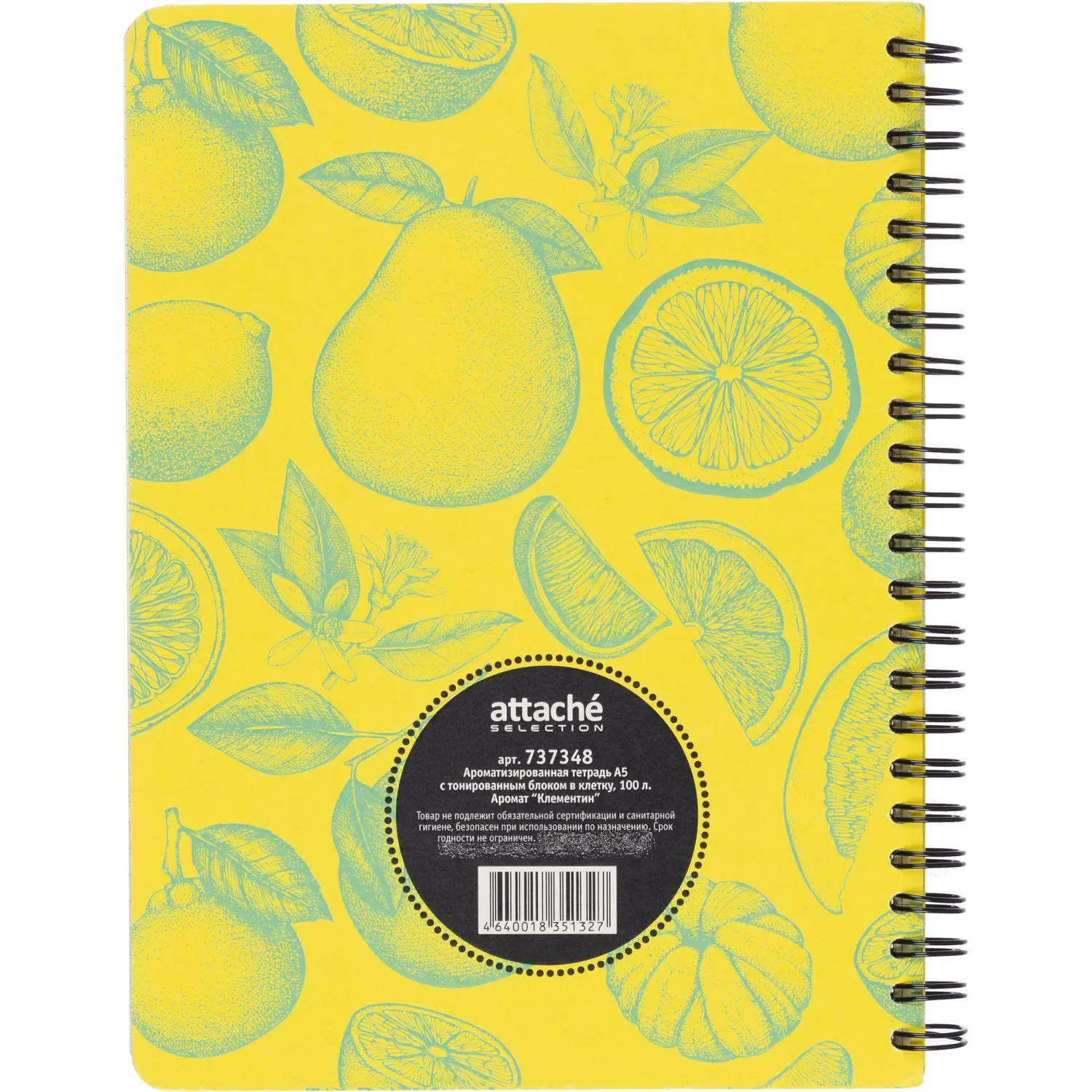 Бизнес-тетрадь  ароматизир.100л,кл,А5, КЛЕМЕНТИН,спир,тонир.блок 84906 - фото 8