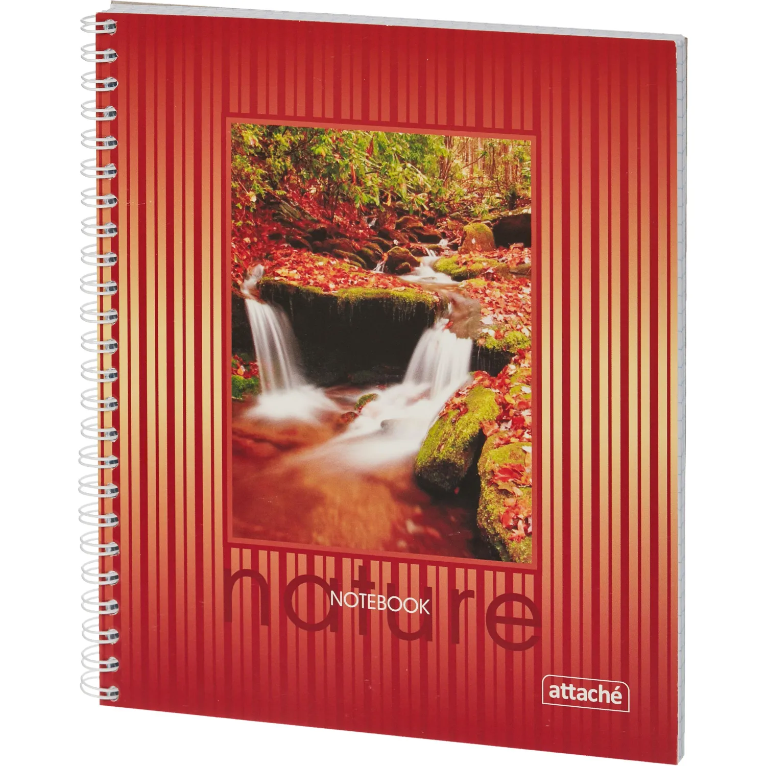 Тетрадь общая Attache,120л,клет,А5,спир,обл.лак.карт - фото 2