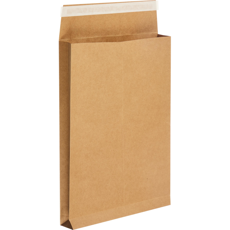 Пакет крафт B4 стрип Extrapack250х353х40 120г 25шт/уп/6569 - фото 6