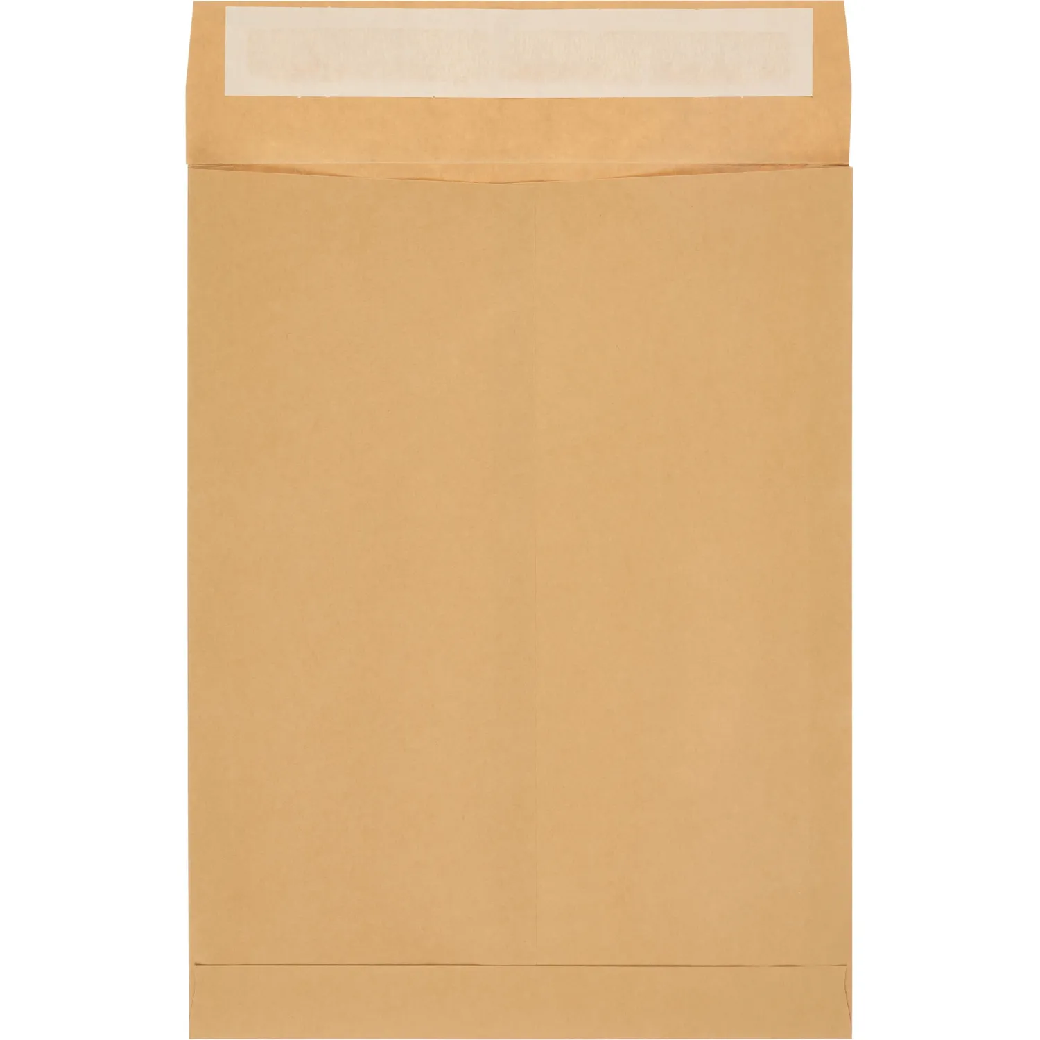 Пакет крафт E4 стрип Extrapack 300х400х40 120г 250шт/уп/6586 - фото 2