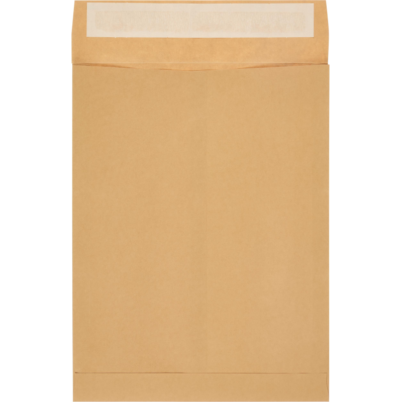 Пакет крафт E4 стрип Extrapack 300х400х40 120г 250шт/уп/6586 - фото 5