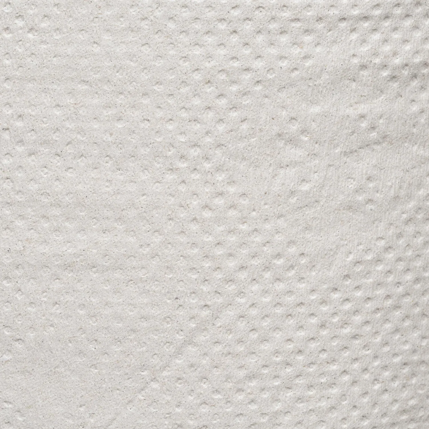 Бумага туалетная д/дисп 1сл серая втор 200ф 12рул/уп_Т-0024 - фото 3