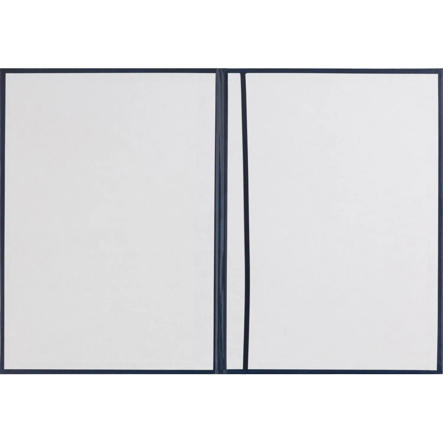 Папка адресная бумвинил А4 (объемная) Поздравляем с виньеткой синяя - фото 2