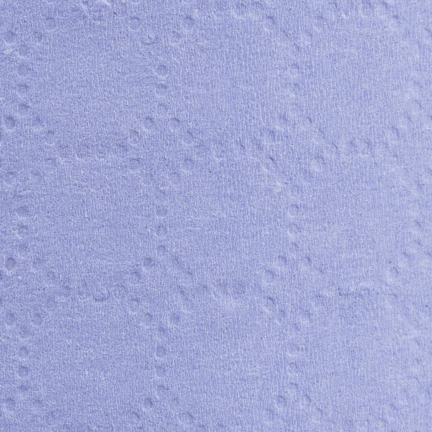 Бумага протирочная Luscan Prof 2сл 500лx1рул/уп 130м голубая Бумага протирочная Luscan Prof 2сл 500лx1рул/уп 130м голубая - фото 4