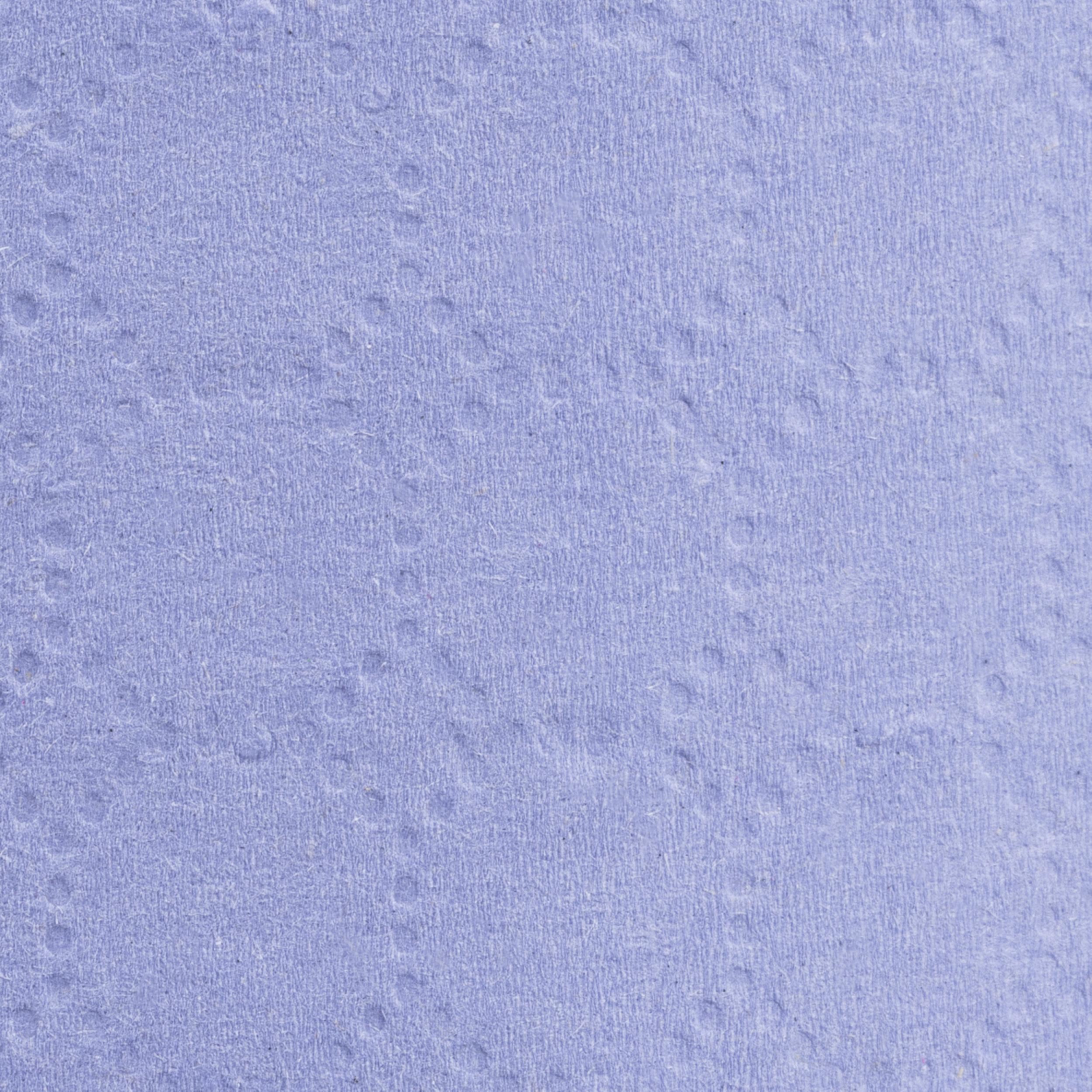 Бумага протирочная Luscan Prof 2сл 200лx1рул/уп 52м голубая - фото 4