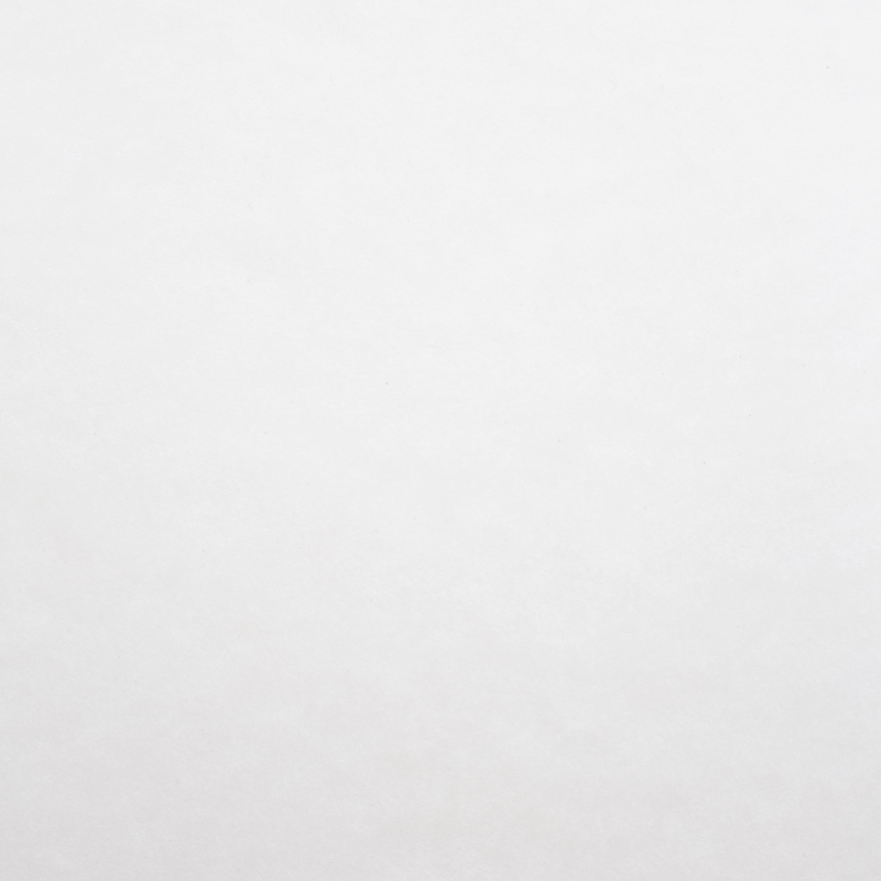 Бумага для акварели в листах Kroyter А2 (594x416мм),1уп.100л,180гр.Кр,13065 - фото 4