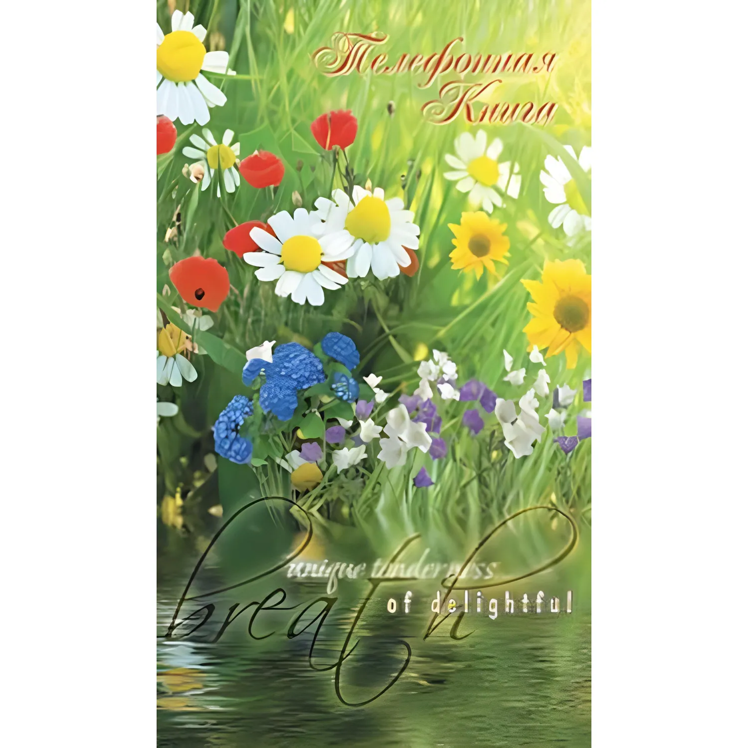 Телефонная книга 7БЦ с выбр.лак.обл,А5,100х210мм,80л,клей, в ассорт. - фото 7