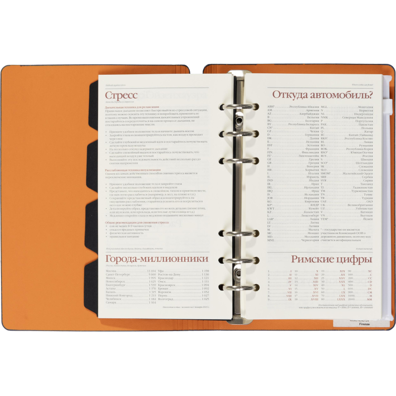 Ежедневник недатированный А5-,132х190мм,120л, FIRENZE темно-синий 3-511/01 - фото 19