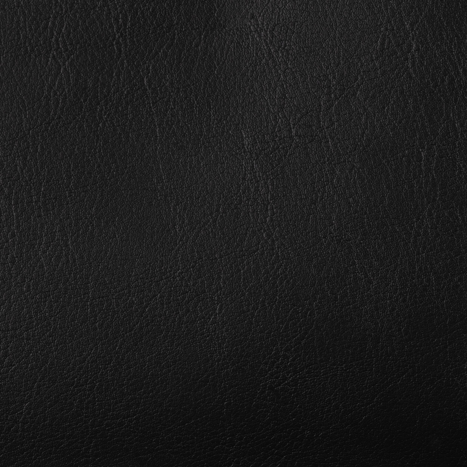 Ежедневник недатированный А5, Primavera черный, 136л. 3-536/05 - фото 6