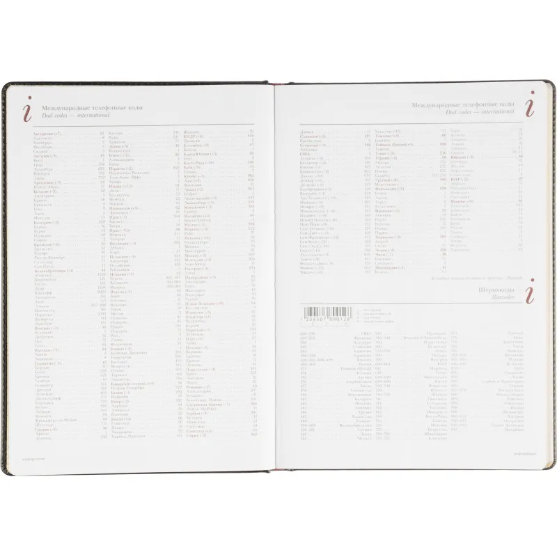 Ежедневник недатированный ,А4,,136л, Sidney Nebraska черн3-539/02 - фото 11