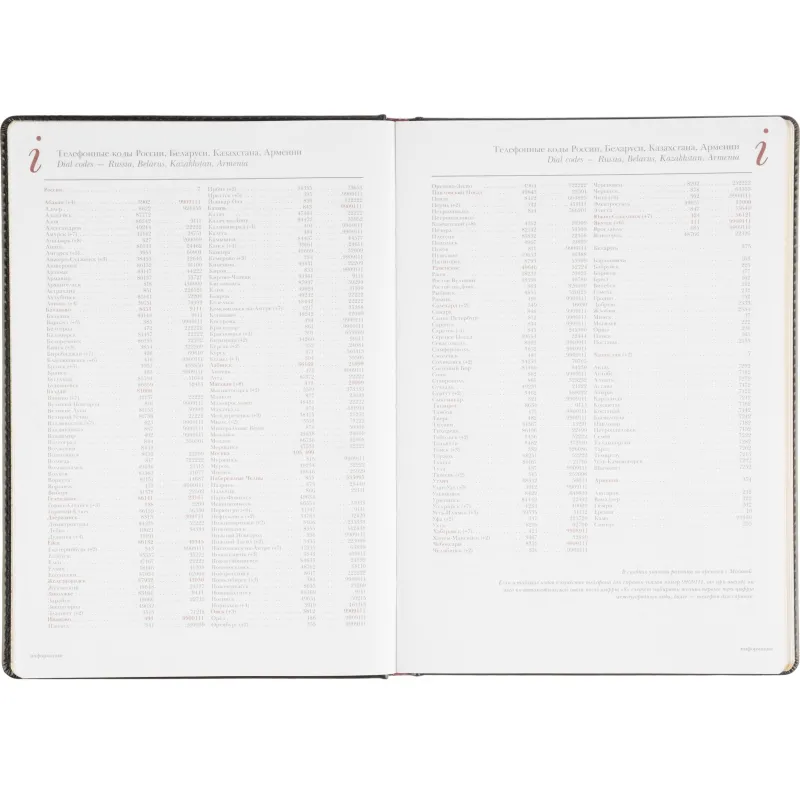 Ежедневник недатированный ,А4,,136л, Sidney Nebraska черн3-539/02 - фото 12