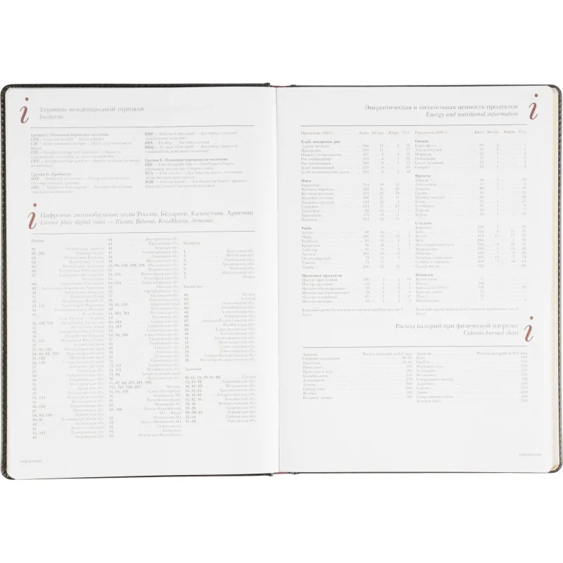 Ежедневник недатированный ,А4,,136л, Sidney Nebraska черн3-539/02 - фото 13