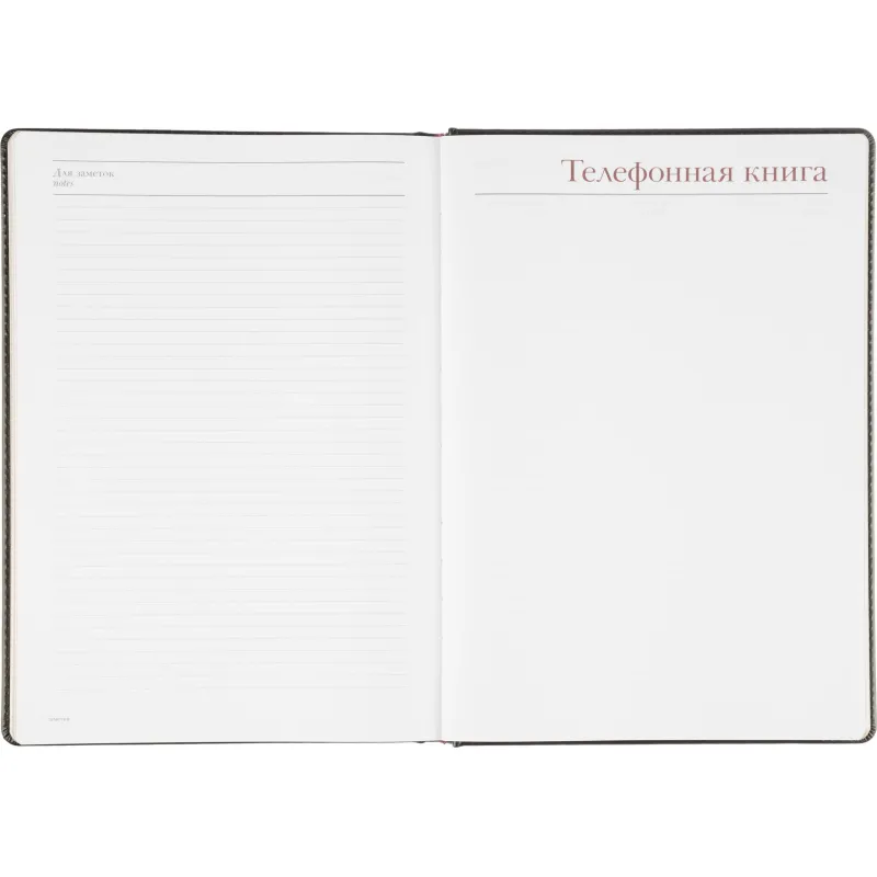 Ежедневник недатированный ,А4,,136л, Sidney Nebraska черн3-539/02 - фото 19