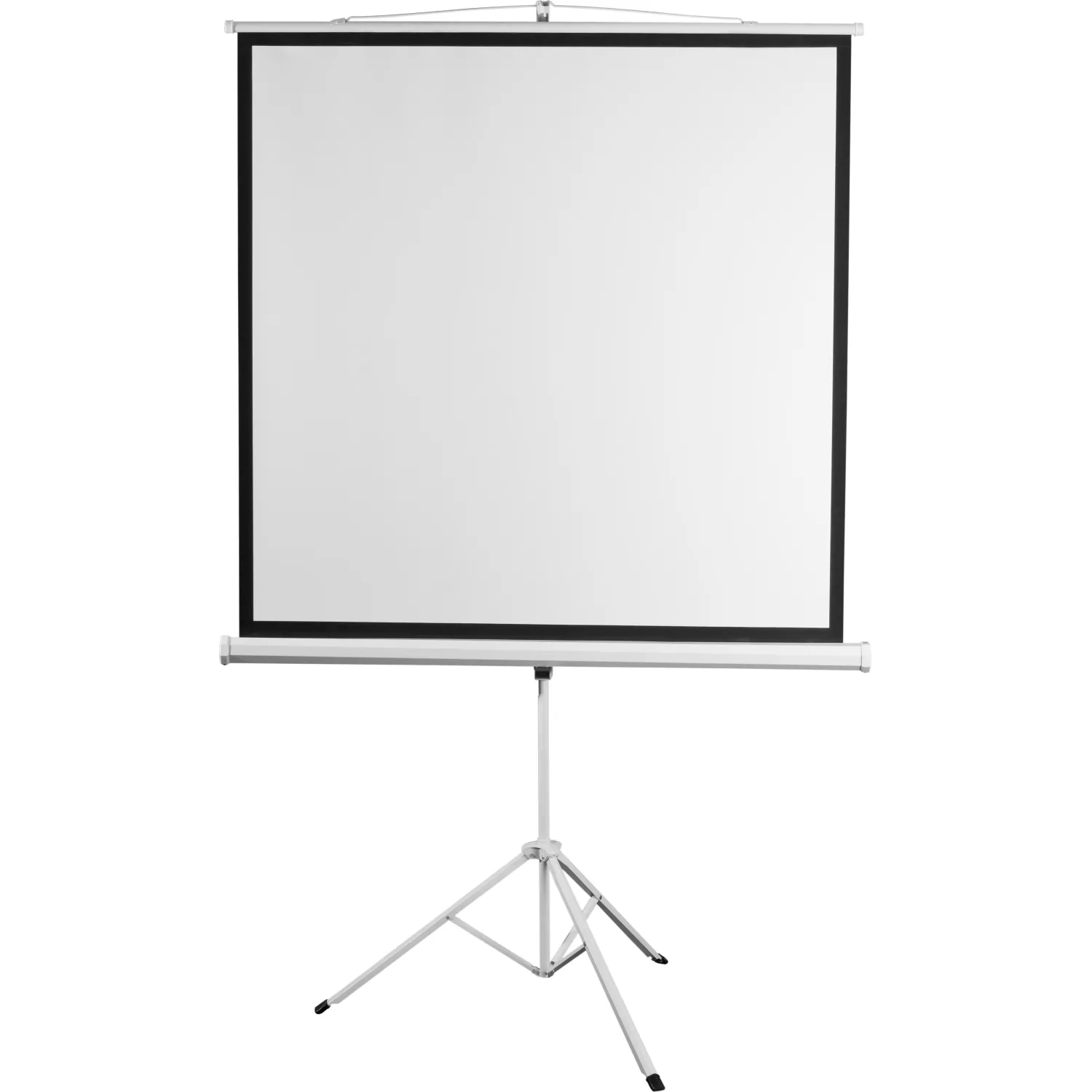 Экран Digis DSKD-1106 мобильный 1:1, 200х200 - фото 1