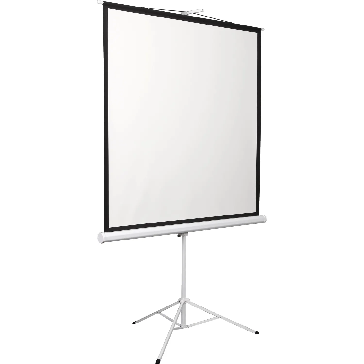 Экран Digis DSKD-1106 мобильный 1:1, 200х200 - фото 2