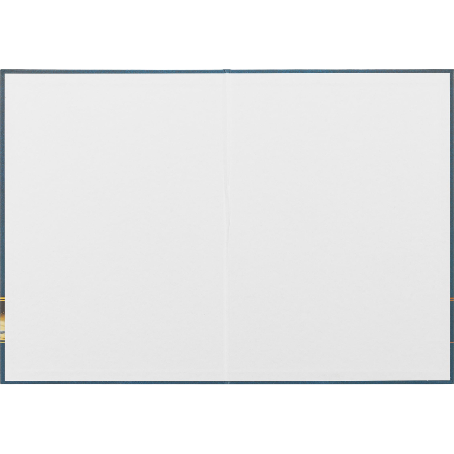 Папка адресная На подпись ламинированная, А4, КЖ-3009 Папка адресная На подпись ламинированная, А4, КЖ-3009 - фото 2