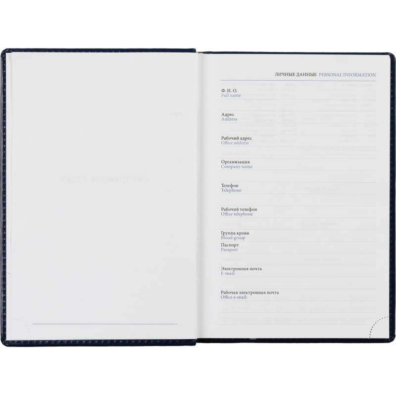 Ежедневник недатированный синий, А5, 148x218, 352стр, Agenda - фото 11
