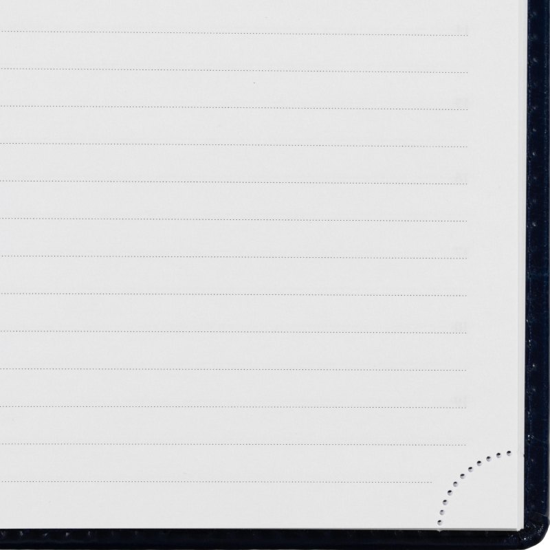 Ежедневник недатированный синий, А5, 148x218, 352стр, Agenda - фото 23