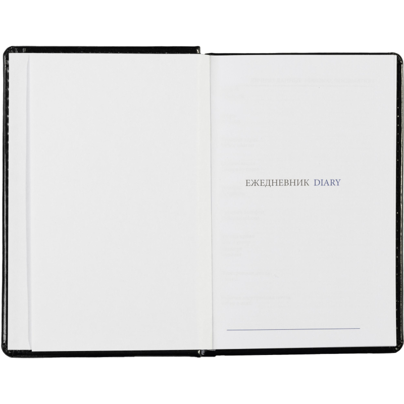 Ежедневник недатированный черн, А6, 100x150, 320стр, Agenda - фото 10