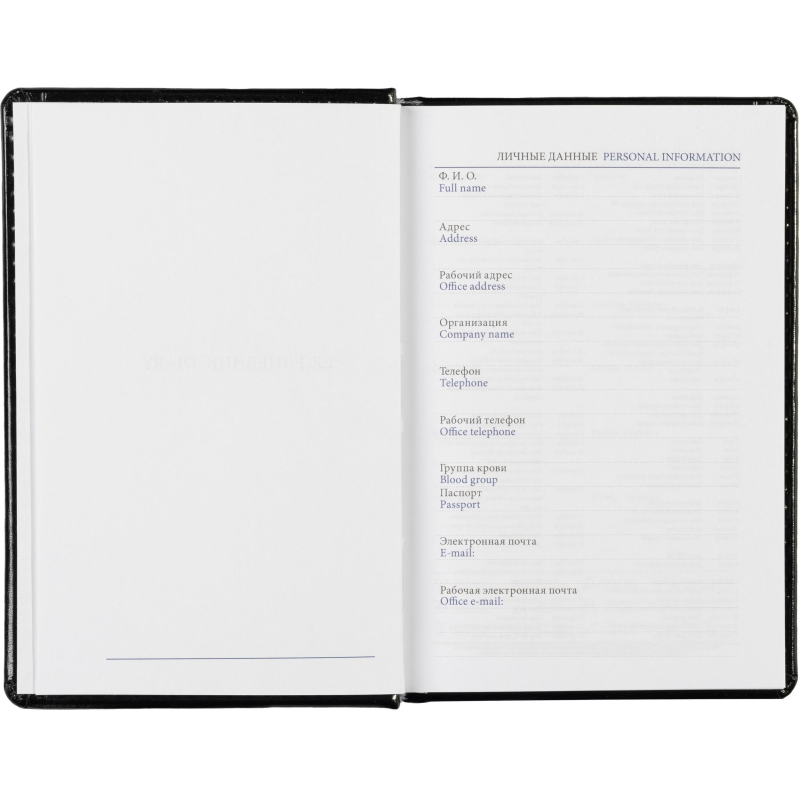 Ежедневник недатированный черн, А6, 100x150, 320стр, Agenda - фото 11