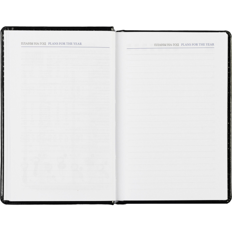 Ежедневник недатированный черн, А6, 100x150, 320стр, Agenda - фото 17