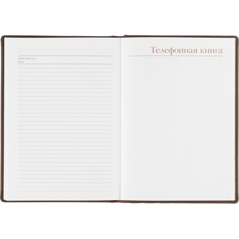 Ежедневник недатированный А5+, 136л, VELVET коричневый  3-115/03 - фото 19