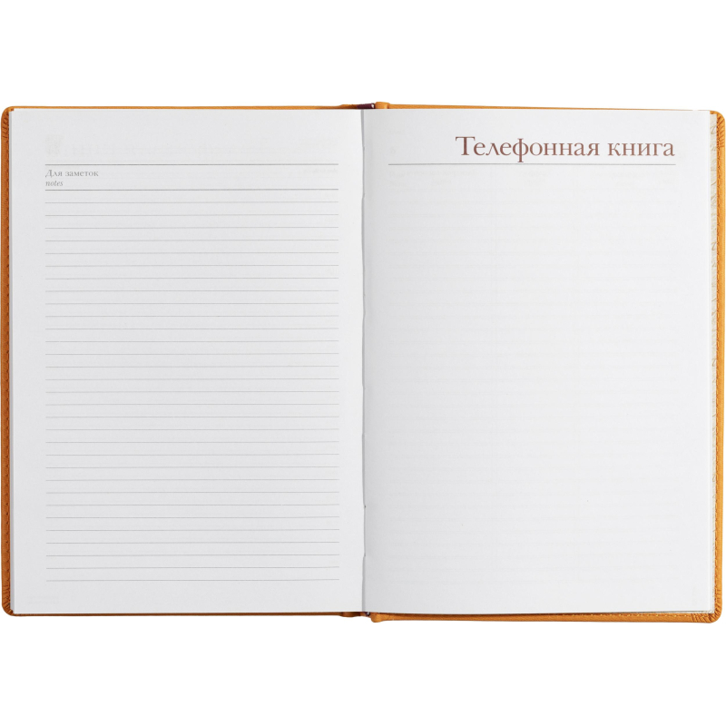 Ежедневник недатированный А5+, 136л, VELVET оранжевый  3-115/06 - фото 19