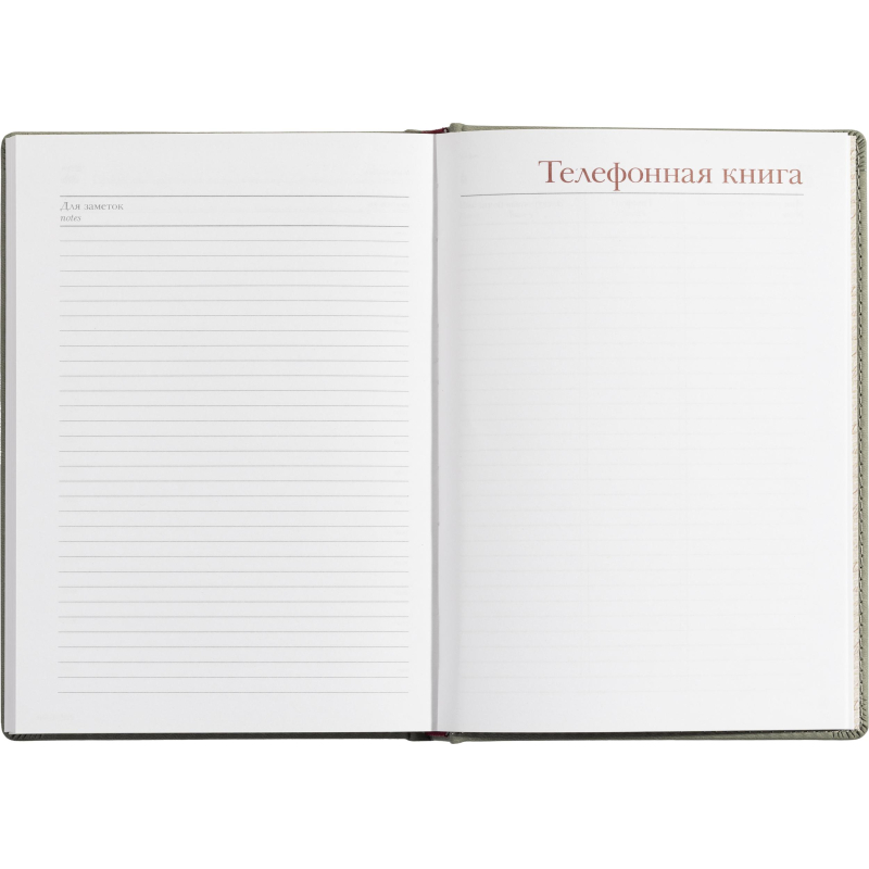 Ежедневник недатированный А5+, 136л, VELVET светло-серый  3-115/28 - фото 19