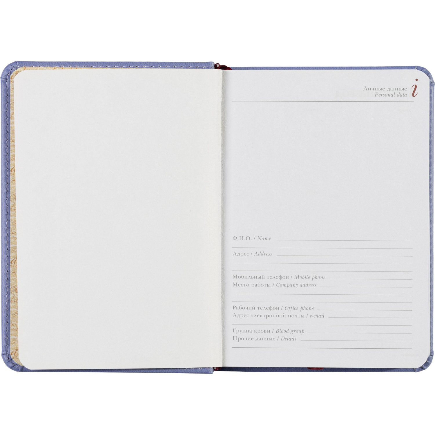 Ежедневник недатированный A6+, 136л, VELVET сиреневый 3-495/11 - фото 9