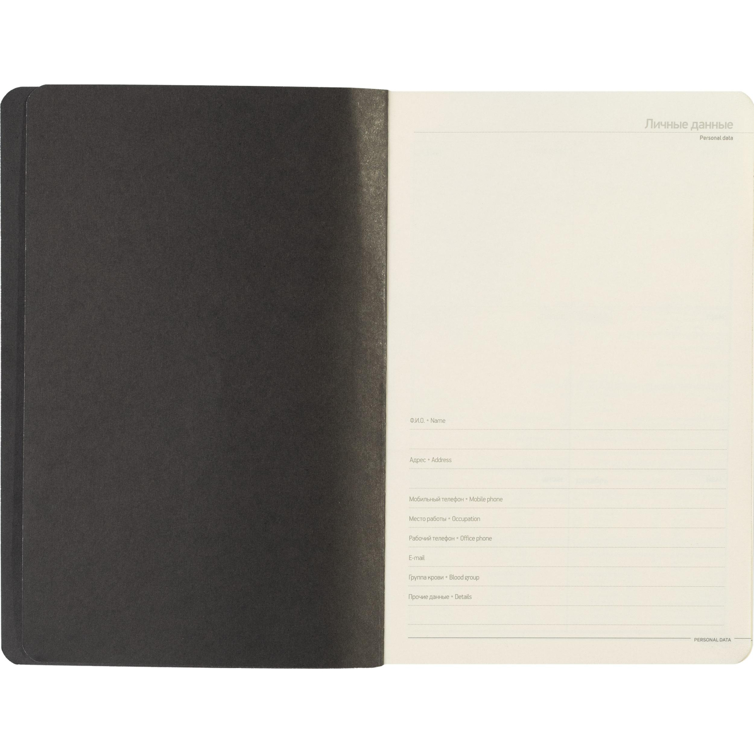 Ежедневник недатированный А5, 136л, MEGAPOLIS FLEX черный 3-531/04 - фото 9