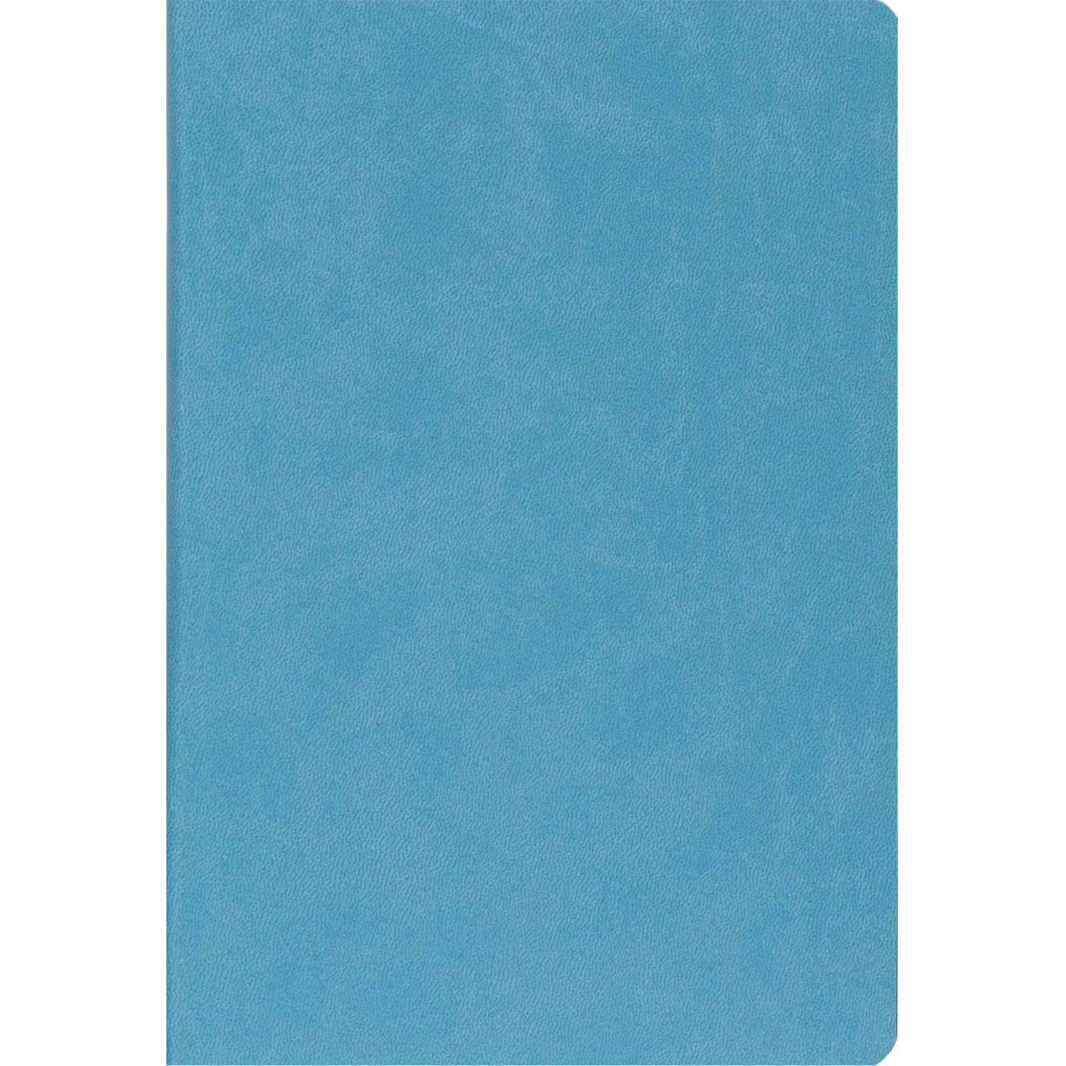 Ежедневник недатированный А5, 136л, MEGAPOLIS FLEX небесно-голубой 3-531/22 - фото 4