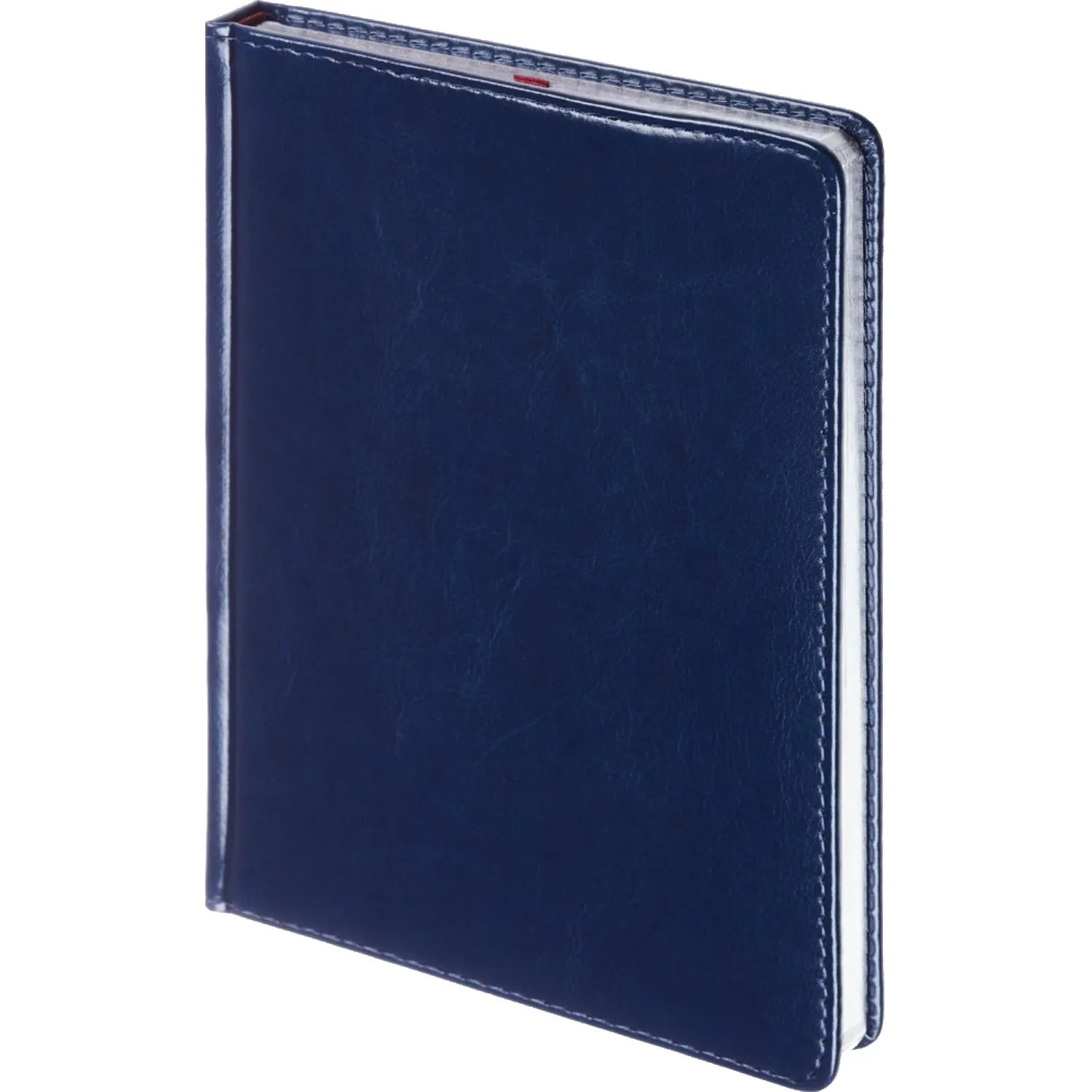 Ежедневник недатированный А5 Sidney Nebraska, син,сер.обрез,272стр 3-128/12 - фото 1