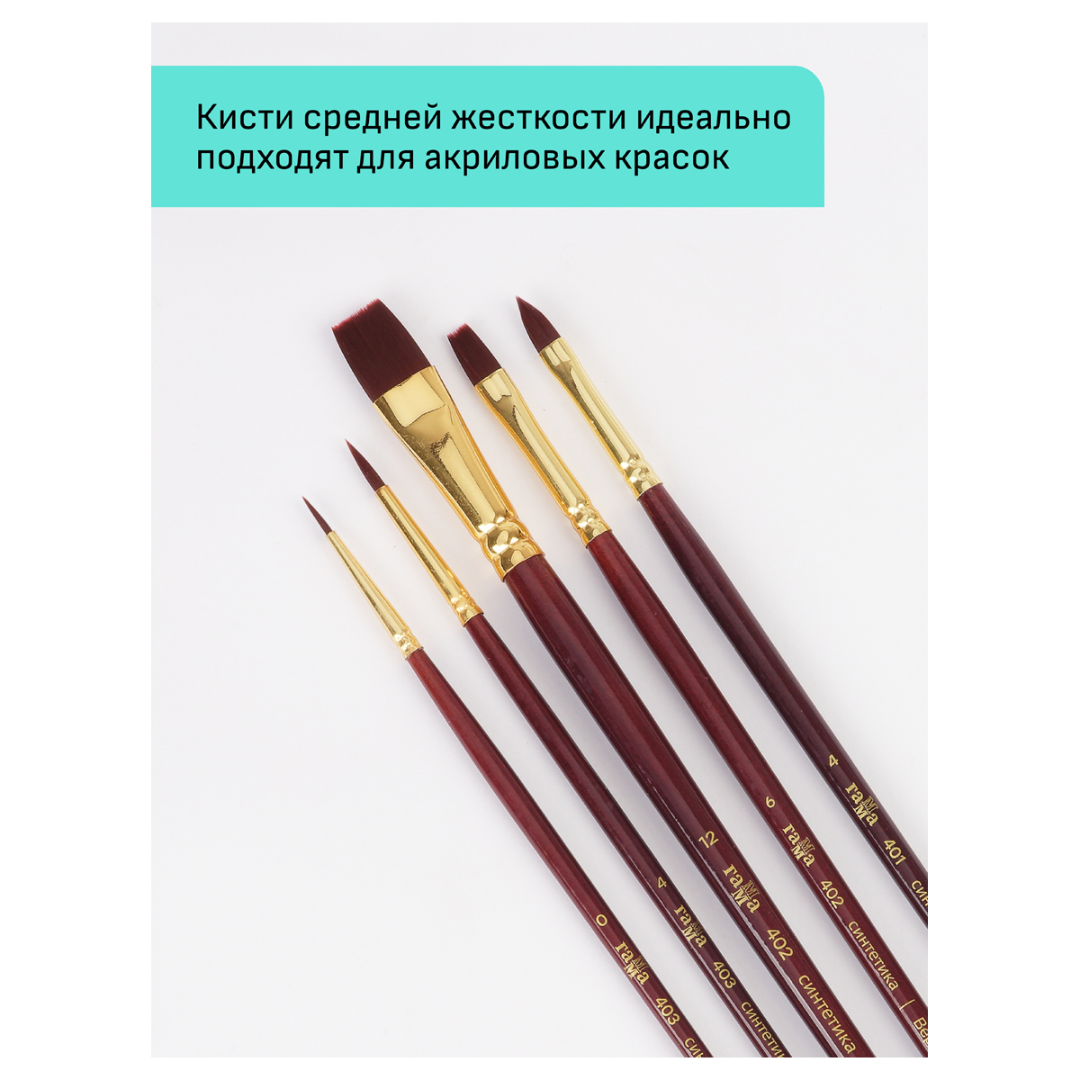 Набор художественных кистей синтетика бордовая Гамма "Вернисаж", 5шт., круглые №0, 4, плоские №6, 12, плоскоовальная №4, блистер, европодвес - фото 3