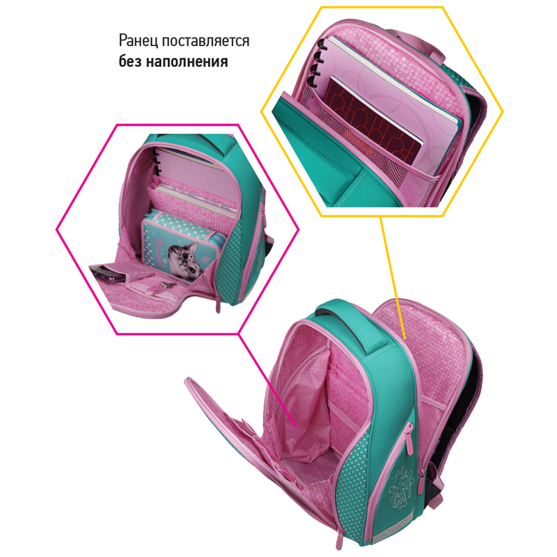 Ранец Berlingo Nova "Curious cat" 37*28*18см, 2 отделения, 2 кармана, анатомическая спинка - фото 5