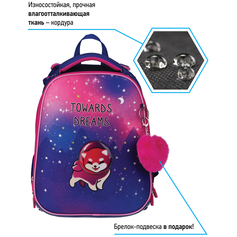 Ранец Berlingo Expert "Akita boy" 37*28*16см, 2 отделения, 2 кармана, анатомическая спинка - фото 3