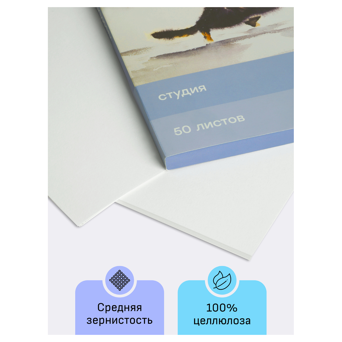 Папка для акварели, 50л., А4, Гамма "Студия", 200г/м2, среднее зерно - фото 3