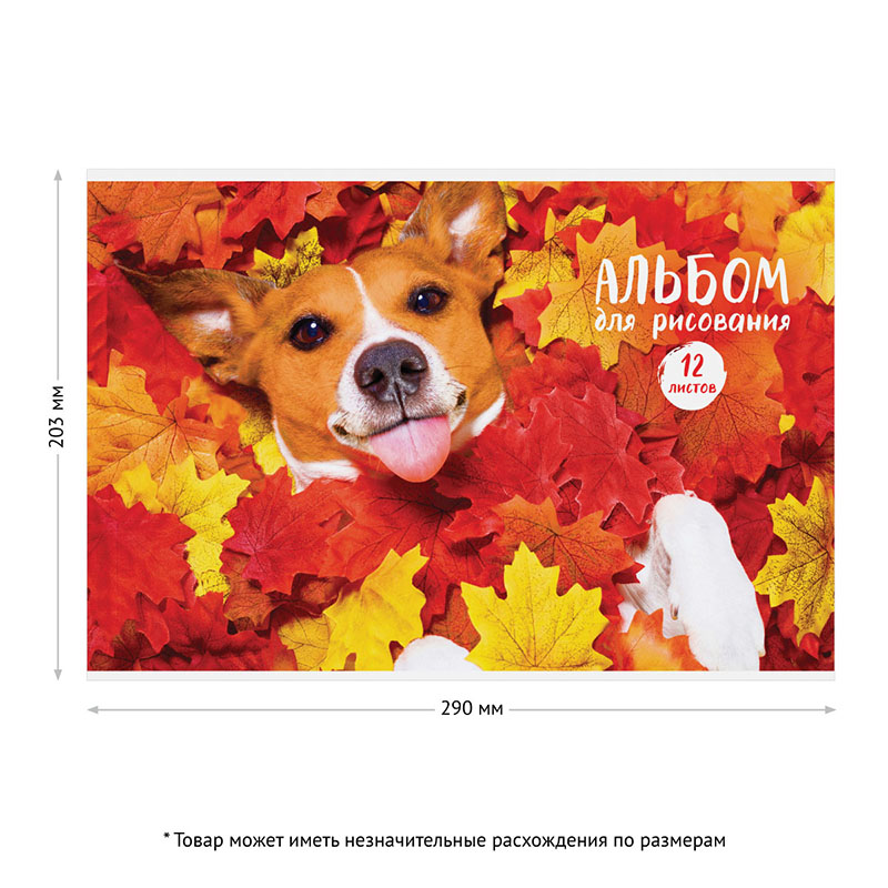 Альбом для рисования 12л., А4, на скрепке ArtSpace Питомцы. Funny dogs, эконом арт. А12ф_26318 - фото 3