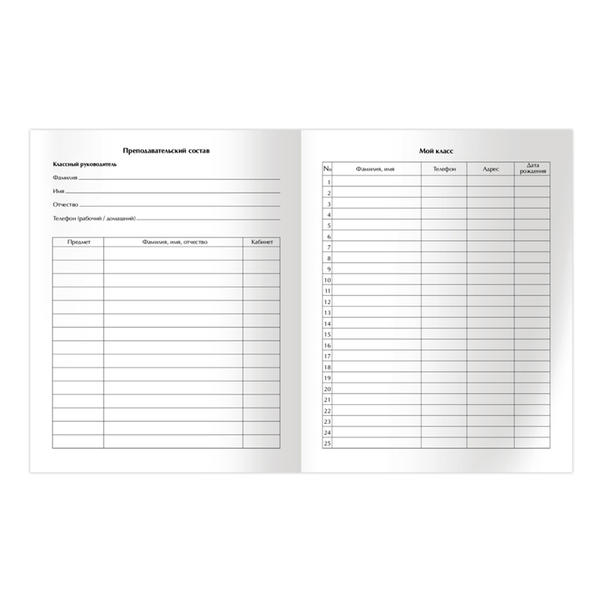 Дневник 1-11 кл. 48л. ЛАЙТ BG "Без цензуры", матовая ламинация, выб. лак - фото 6