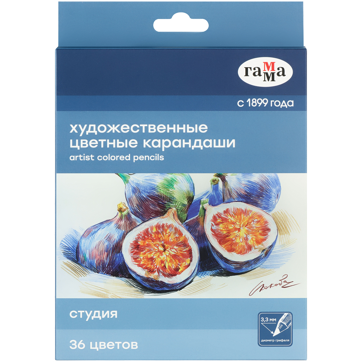 Карандаши цветные художественные Гамма "Студия", 36цв., заточен., картон. упаковка - фото 1