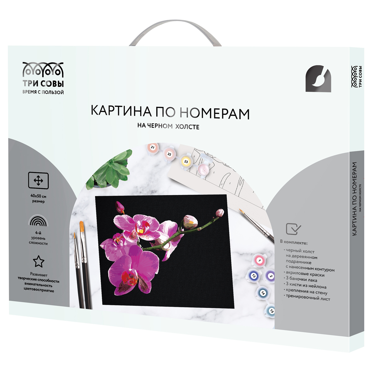 Картина по номерам на черном холсте ТРИ СОВЫ "Цветы орхидеи", 40*50, c акриловыми красками и кистями - фото 2