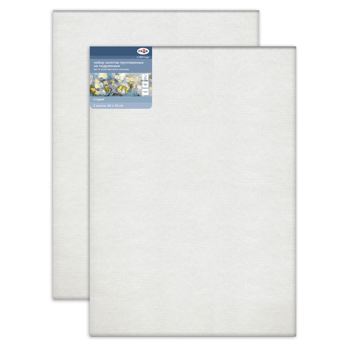 Набор холстов на подрамнике Гамма "Студия", 2шт., 50*70см, 100% хлопок, 280г/м2, мелкое зерно - фото 1