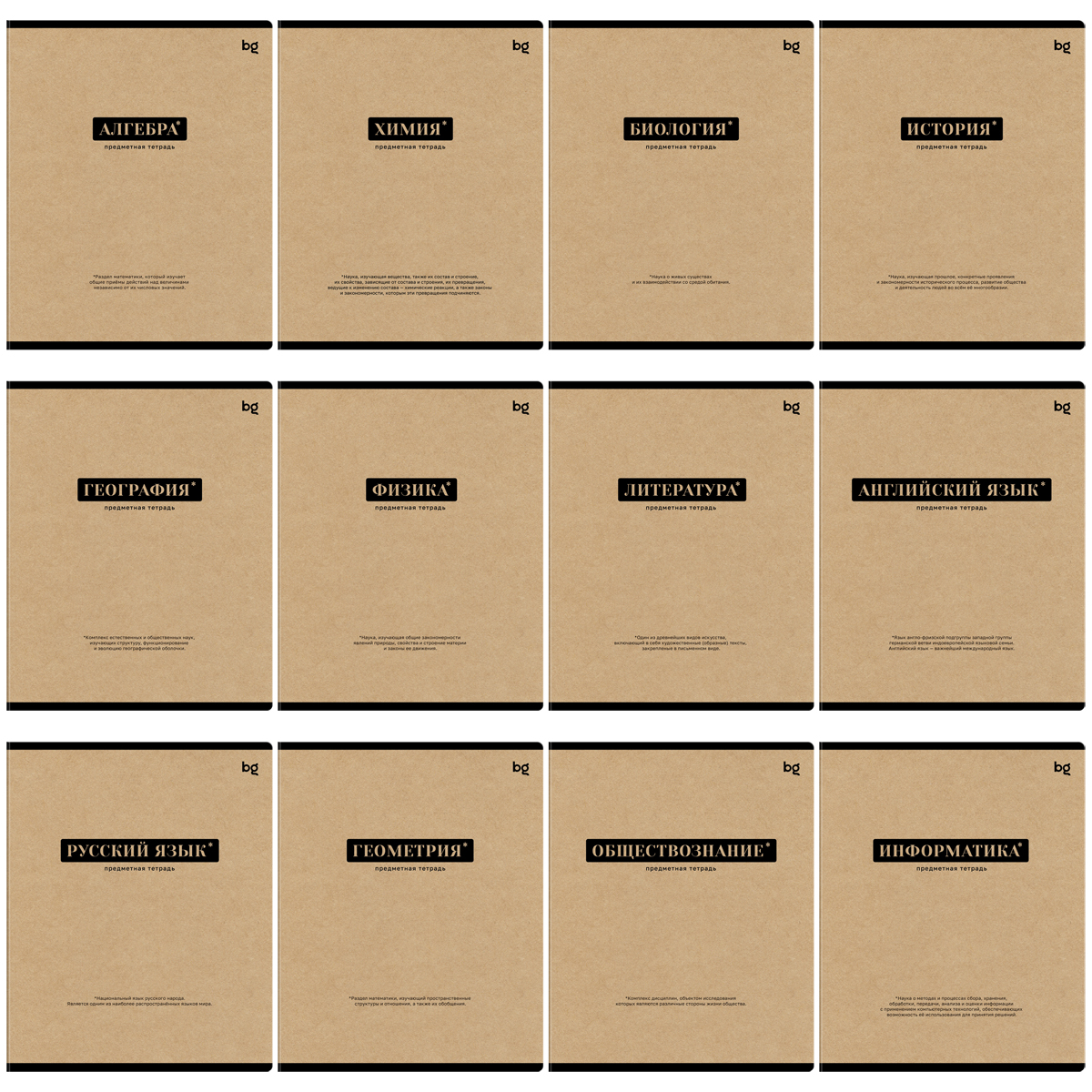 Комплект (12 шт.) предметных тетрадей 48л. BG "Крафт", матовая ламинация - фото 2