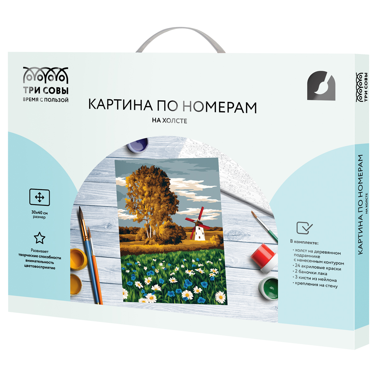Картина по номерам на холсте ТРИ СОВЫ "Ромашковое поле", 30*40, с акриловыми красками и кистями - фото 2