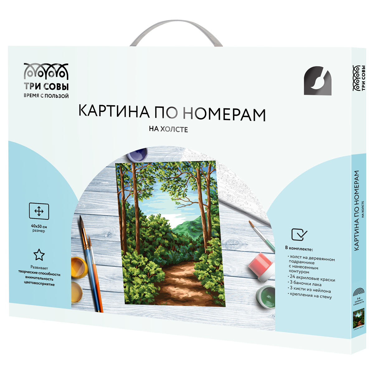 Картина по номерам на холсте ТРИ СОВЫ "Лесная тропа", 40*50, с акриловыми красками и кистями - фото 2