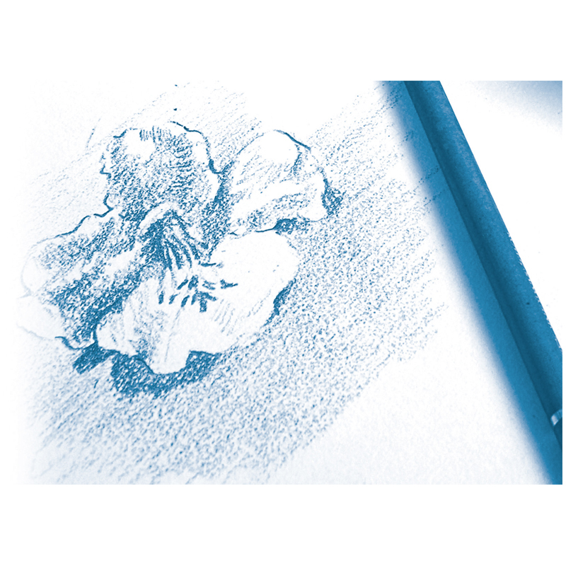 Скетчбук 30л., А4 Clairefontaine на гребне, мелкозернистая, 180г/м2 - фото 7