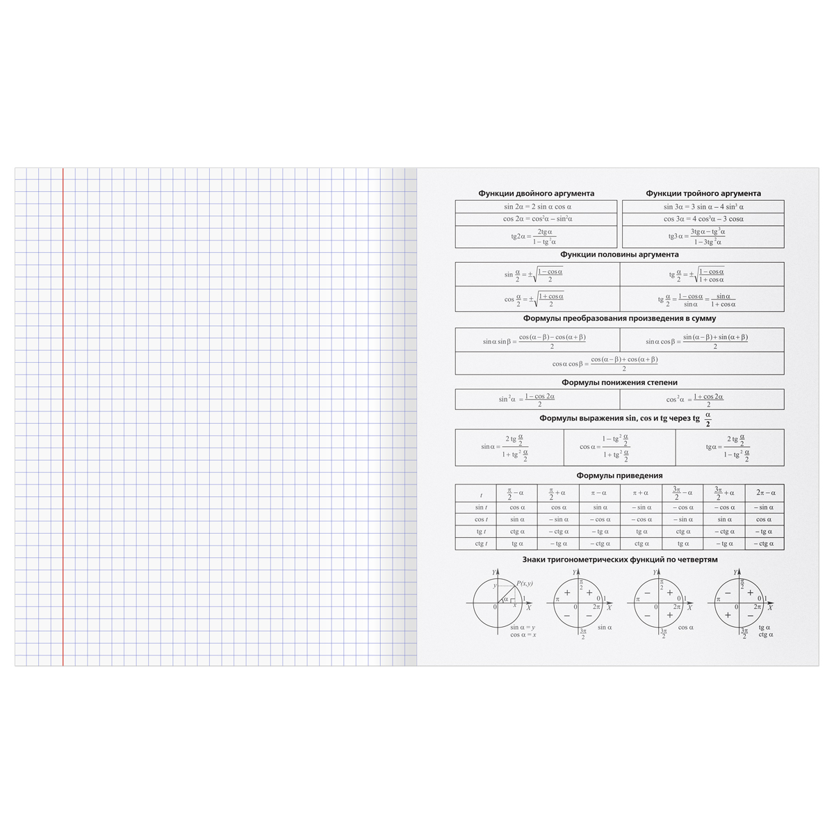 Комплект (12 шт.) предметных тетрадей 48л. BG "Single colour", эконом - фото 5