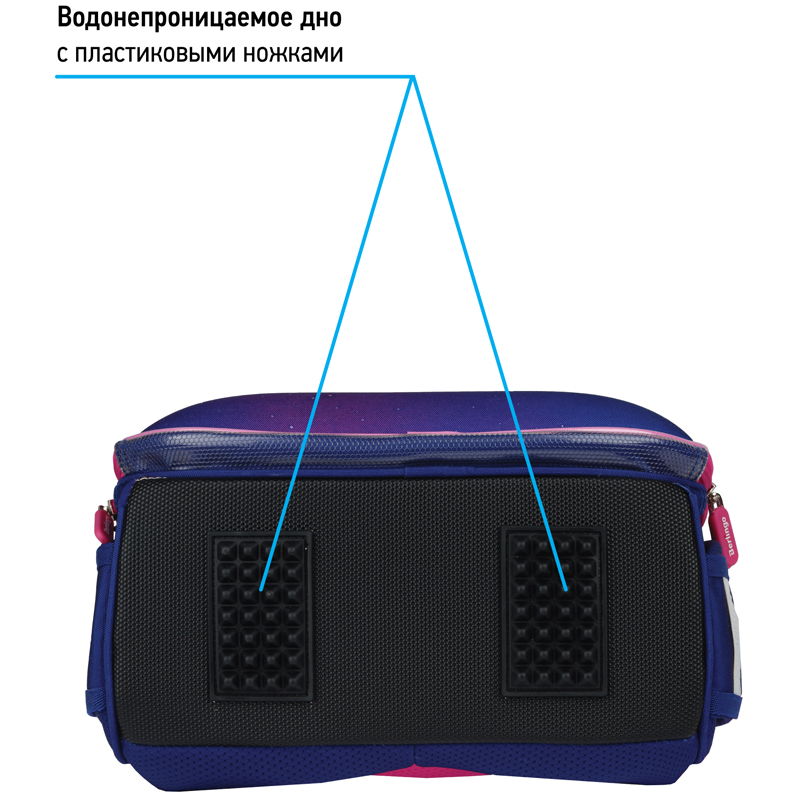 Ранец Berlingo Expert "Akita boy" 37*28*16см, 2 отделения, 2 кармана, анатомическая спинка - фото 7